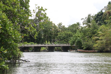 bridge over the river