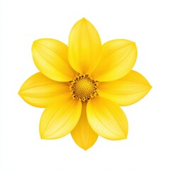 Fototapeta premium Bright yellow flower stands out against a clean white backdrop, showcasing its vibrant color and delicate petals. Ideal for cheerful decor.