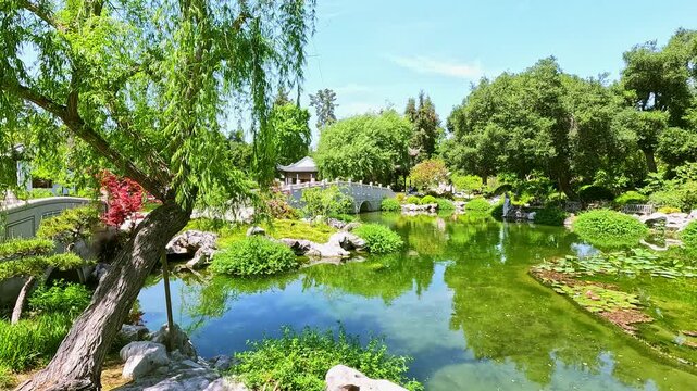 a gorgeous spring landscape with a pond and lush green trees at Huntington Library and Botanical Gardens in San Marino California USA