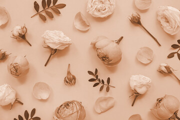 Beautiful composition with pink flowers on beige background