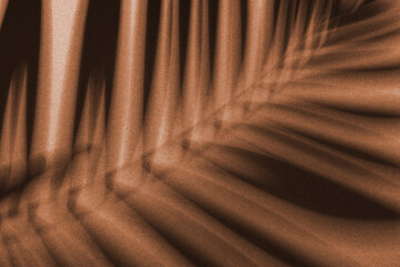 Shadow of tropical leaf on green background