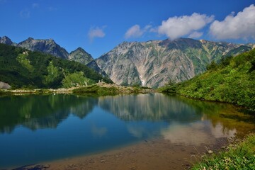 夏の白馬　八方池