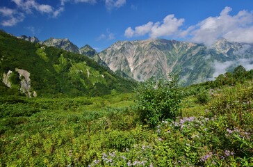 夏の白馬八方ハイキング