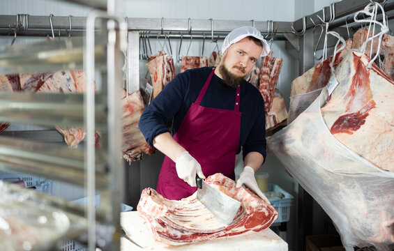 Focused young bearded butcher preparing meat for sale in store, using large cleaver to cut slab of beef ribs in cold storage room against background of pieces of meat hanging on hooks