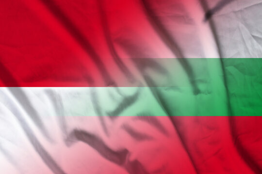 Indonesia and Bulgaria state flag international contract BGR IDN