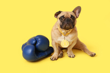 Cute French bulldog with boxing gloves on yellow background