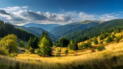 Fototapeta premium 太陽が照らす緑豊かな山の風景