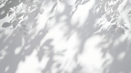 A white background with a tree and leaves in the foreground