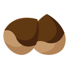Brown chestnuts pair closeup. Vector