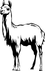 Black and White Illustration of a Majestic Llama  