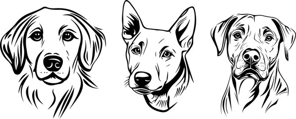Three dog portraits in vector style showcasing different breeds  