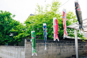 日本の伝統的な鯉のぼり