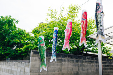 日本の伝統的な鯉のぼり
