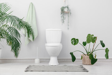 Interior of stylish restroom with ceramic toilet bowl, brush and houseplant