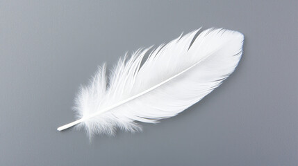 Obraz premium A delicate white feather resting on a smooth gray surface, evoking tranquility and elegance.