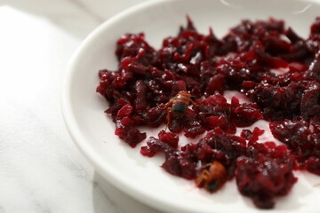 Cockroaches crawling on plate with grated red beets on light table, closeup