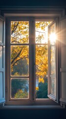 Autumn Sunlight through a Window