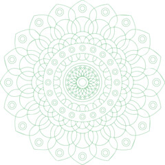 Beautiful flower art and mandala vector design