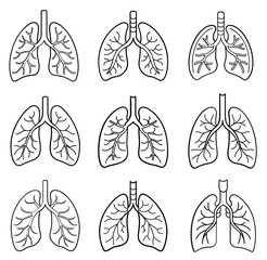 Set Of Lungs icon. Simple solid style. Human internal organ, lung, respiratory system, pulmonology concept. Black silhouette, glyph symbol. Vector illustration