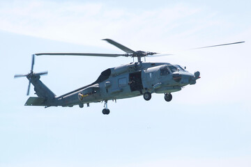 military maneuvers. Infantry, aviation and navy landing	