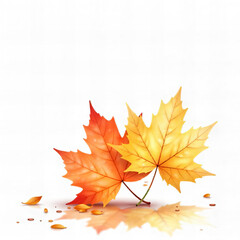 Obraz premium Maple leaf Autumn Reflections