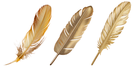 golden feathers on white background, decorative elements