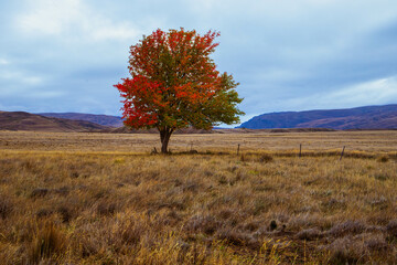 .Changing Colours in Autumn