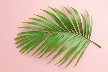 Fototapeta premium Vibrant green palm frond on a delicate pink background.