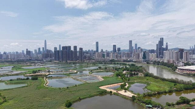 Hoo Hok Wai wetland peaceful with birds flying above still water  April 20, 2025