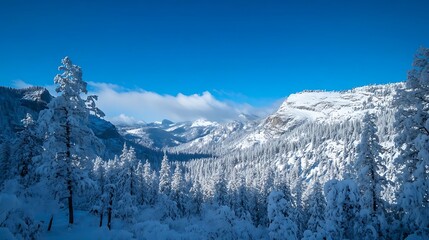 Snowy Mountain Winter Landscape. (3)