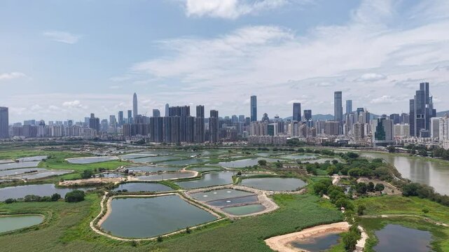 Hoo Hok Wai wetland peaceful with birds flying above still water  April 20, 2025