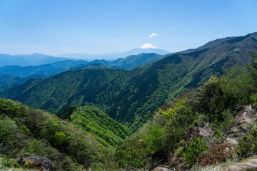 丹沢から撮影した富士山と新緑
