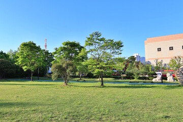 도심공원, 잔디와 나무