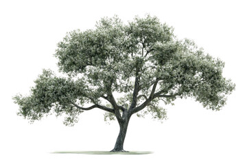 Fototapeta premium Majestic Tree Stands Tall, Symbolizing Growth and Resilience in Nature's Embrace.