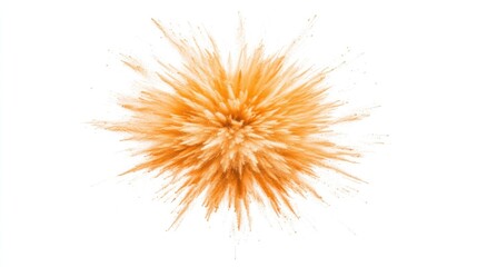 Fototapeta premium Orange powder explosion on white background