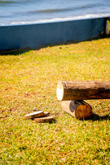 tree trunk being sawn in a garden facing the sea