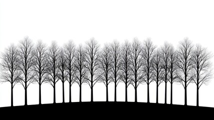 Silhouette of Leafless Trees in a Symmetrical Arrangement Against a Minimalist White Background
