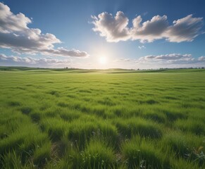 Obraz premium Vast green field stretches to a brilliant blue sky, sunlit and peaceful , scenic, summer