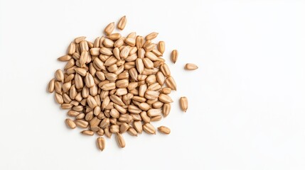 Pile of sunflower seeds on white background