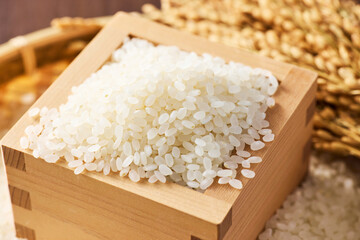 升に盛った日本のお米