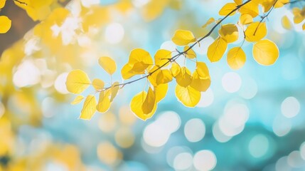 Obraz premium Golden autumn leaves on branch with bokeh background