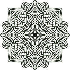 Beautiful flower art and mandala vector design
