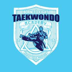 Flying Kick Taekwondo Vector Art