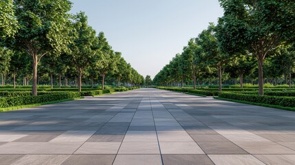 Fototapeta premium Serene Pathway Adorned with Lush Green Trees in Bright Daylight