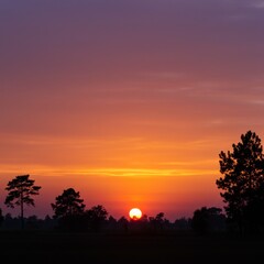 Obraz premium Vibrant Sunset Silhouette Over a Field