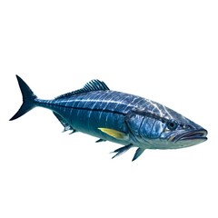 Obraz premium Wahoo’s Speed and Grace.