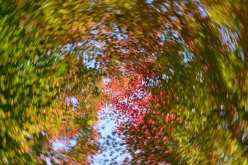 空を中心に回転する紅葉の風景