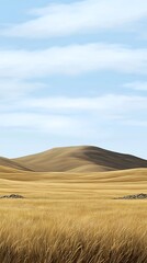 Obraz premium Serene Rolling Hills Landscape Golden Wheat Field under a Blue Sky Peaceful Nature Scenery