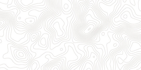 Topography background. Vector banner. Topography map background. Vector geographic contour map. Background of the topographic map. Topographic map lines, contour background. 