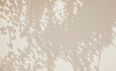 Tree shadows on a wall creating abstract patterns in beige and white. Premium background designs for wallpaper, banners and posters.